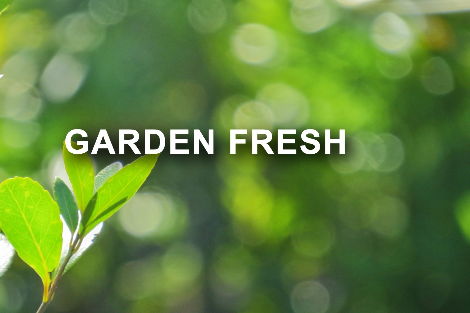 White headline text over a photo, kept readable by a soft drop shadow
