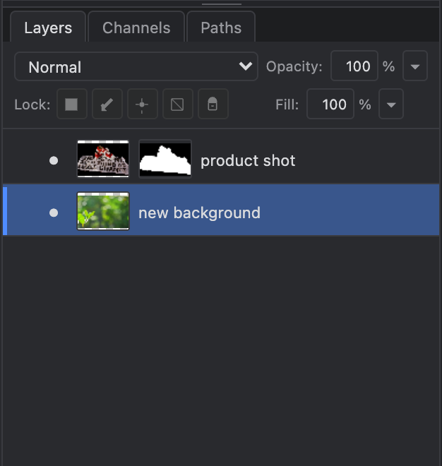 The Layers panel: the masked subject layer above, the new background layer below