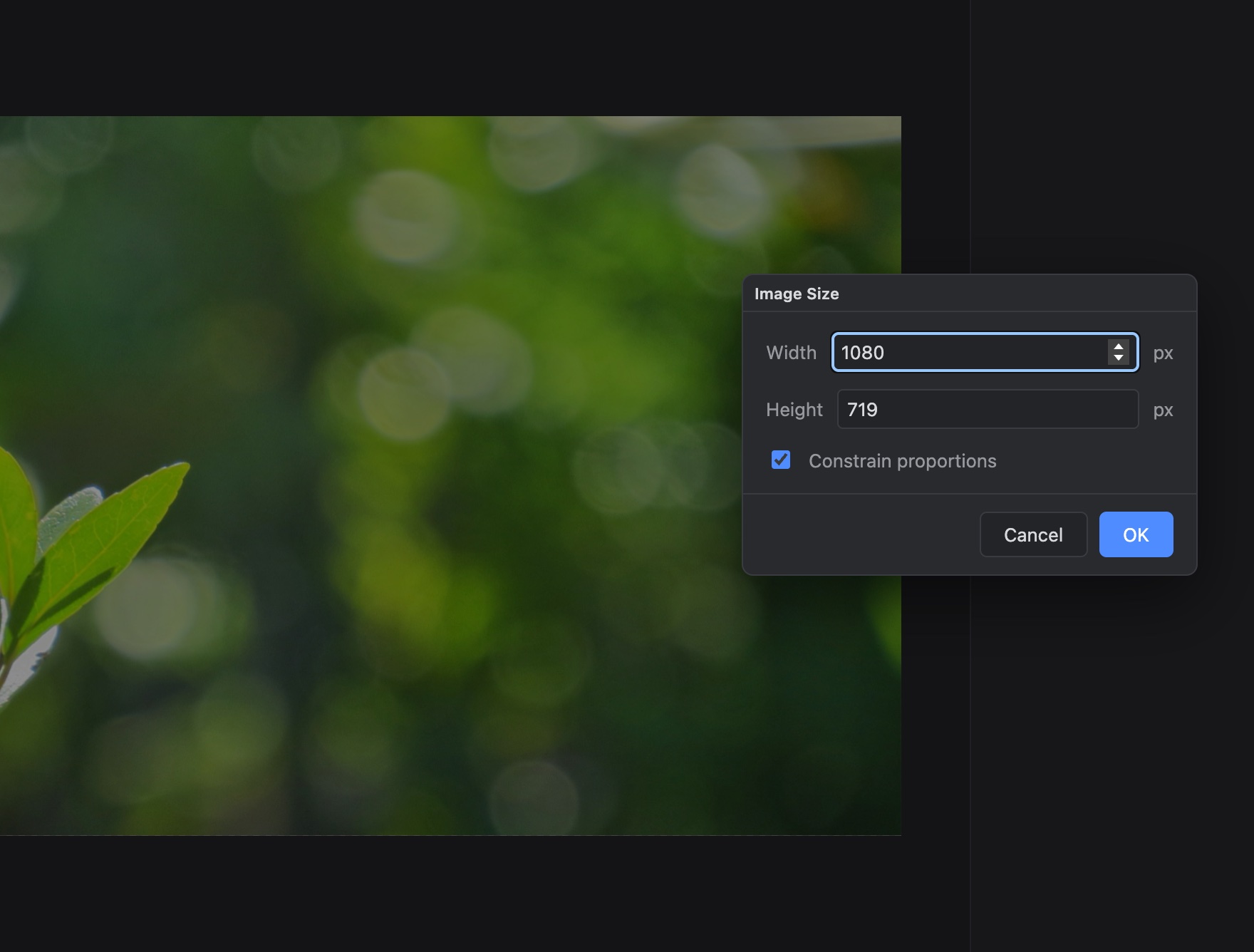 The Image Size dialog over a photo, resizing it to 1080 pixels wide with proportions constrained