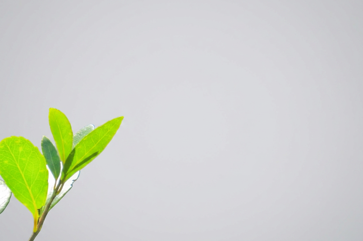 Nano Banana 2 result: Green on green